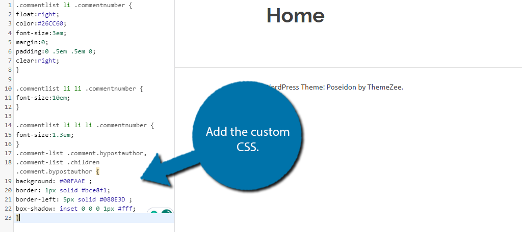 Custom CSS